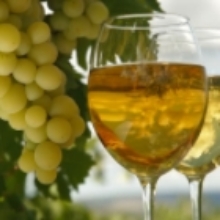 Three Glasses of White Wine